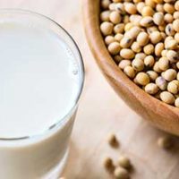 Soja – Um Sinistro Segredo Nos Seus Alimentos