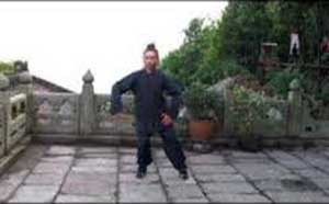 Wudang Yangsheng Gong